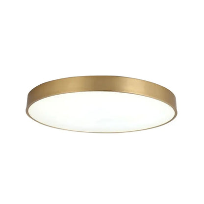 Modern LED Corridor Ceiling Light Lamps Simple Golden Round for Living Dining Room Bedroom Aisle Balcony Study Lighting Fixtures