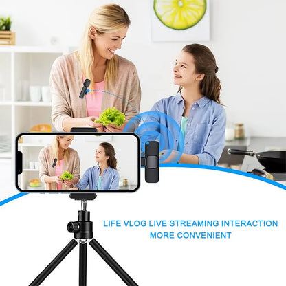 Wireless Mini Lapel Microphone Lavalier Mic For Pc Iphone Android Mobile Cell Phone Youtube Vlog Tiktok Recording Short Video Sh