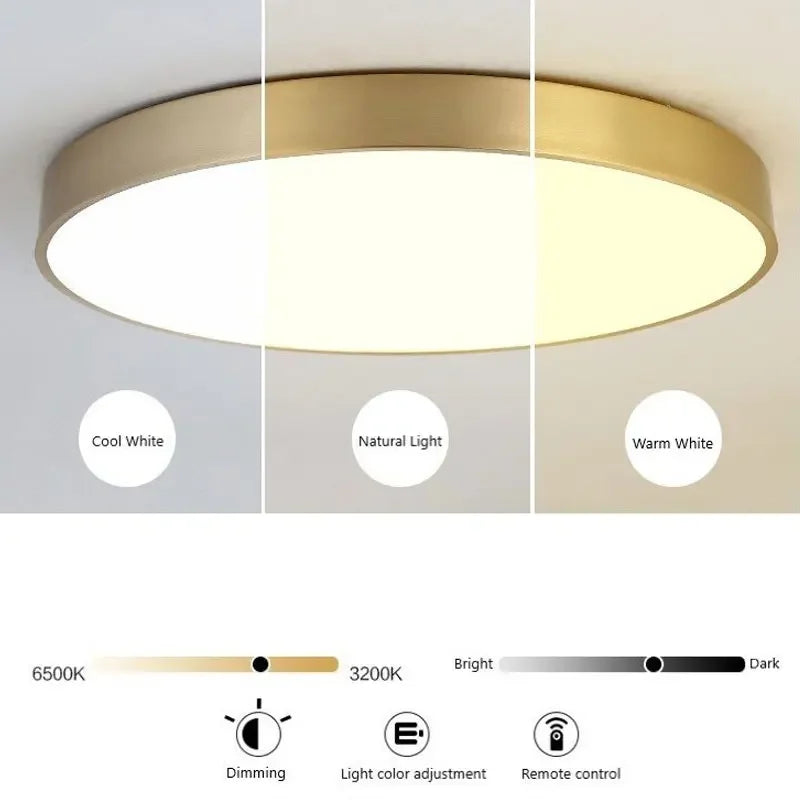 Modern LED Corridor Ceiling Light Lamps Simple Golden Round for Living Dining Room Bedroom Aisle Balcony Study Lighting Fixtures