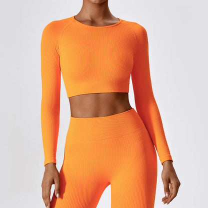 Women's Seamless Crop Top Shirt