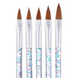 Nail Art Brush Set